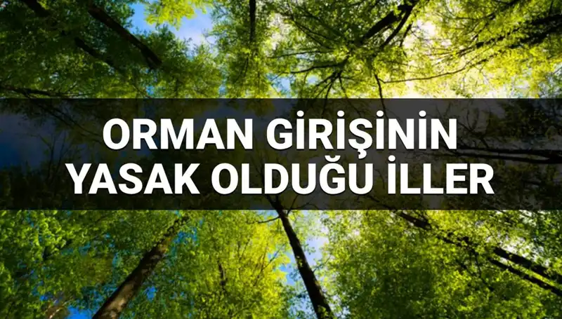 2025’te Ormana Girmek Yasaklanan İller Açıklandı!