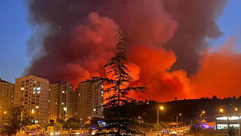 Bursa'daki Yangınlar: Şehirdeki Hayatı Tehdit Eden Alevler