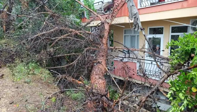 Yağmurun Gücü: Bina Çöktü, Kentte Panik Yarattı