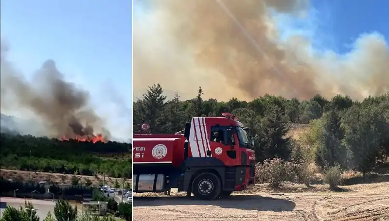 Gebze Orman Yangınında Korkutan Görüntüler ve Müdahale Süreci