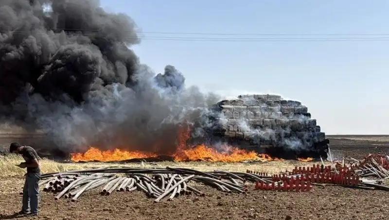 Mardin’de Tehlikeli Anız Yangını: Tarım Alanlarını Tehdit Ediyor!