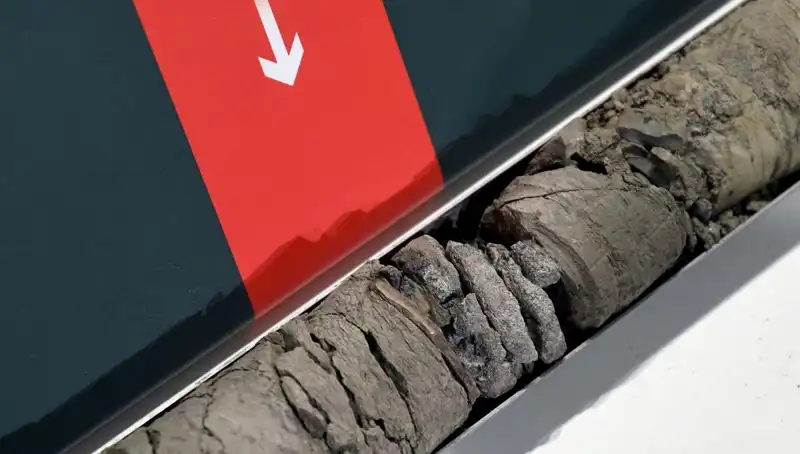 Müze Otoparkında Şaşırtıcı Dinozor Fosili Keşfi: Bilim Dünyasını Heyecanlandırdı!