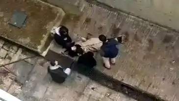 Üniversite Kampüsünde Köpek Paniği: Kaçarken 4 Metreden Düşen Öğrenci Yaralandı