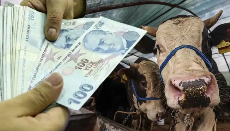 Kurban Bayramı Öncesi Maaşlar Ne Zaman Yatacak? Öğrenin!