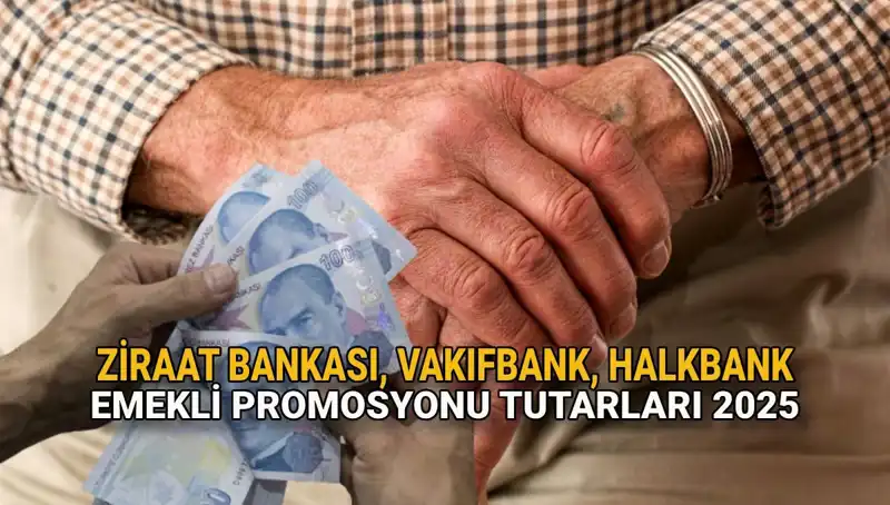 2025’te Emeklilere Beklenen Promosyon Artışları: Kamu Bankaları Ne Sunuyor?