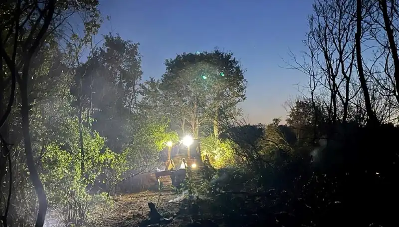 Edirne’de Büyük Orman Yangını Kontrol Altına Alındı: Ekipler İş Başında