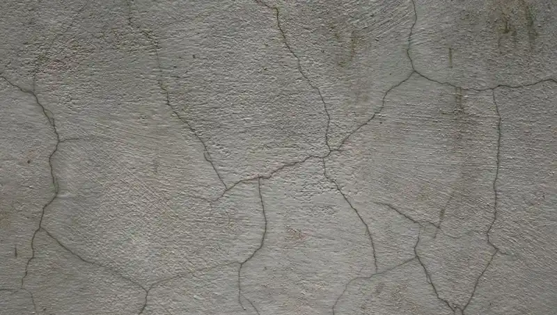 Yenilikçi Canlı Beton: Çatlakları Kendi Kendine Onarıyor