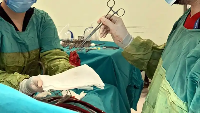 Kalp Kapağı Çürüyen Hasta, 7 Saatlik Mucizevi Ameliyatla Hayata Döndü