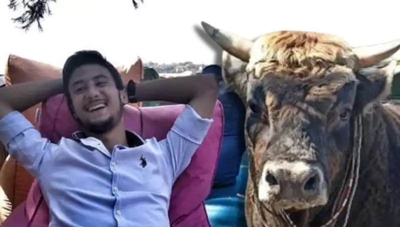 Aydın'da Güreş Boğası İle Feci Kaza: Hayatını Kaybedenler Var!