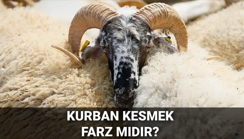 Kurban Kesmenin Farz Olup Olmadığına Dair Merak Edilenler